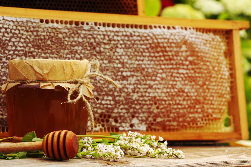 What Is Buckwheat Honey? How It's Produced & Benefits